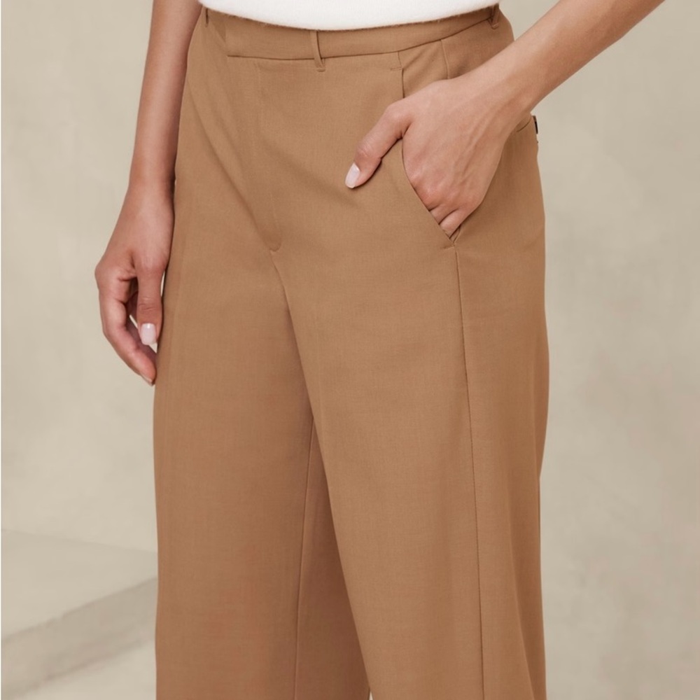 Banana Republic Tan Trousers - Picture 5 of 5